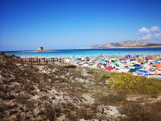 Fototapeta premium La Pelosa Strand Sardinien