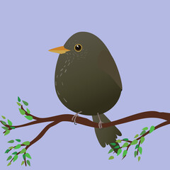 A very cute female blackbird in the shape of an egg. Blue background. The bird sits on a branch with green leafs.