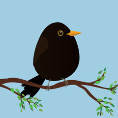 

A very cute blackbird in the shape of an egg. Blue background. The bird sits on a branch with green leafs.
