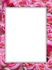 white square on pink flower stacked background, nature, object, decoration, vintage, copy space