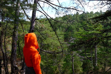 woman wearing orange hoodie watches forest.