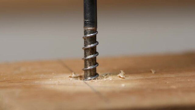 Slow motion cordless screwdriver screws in a bolt in wood, epic macro shot