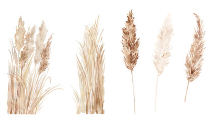 Pampas grass set painted in watercolor. Boho floral neutral colors frame. Botanical boho elements isolated on white. Bohemian style wedding invitation, greeting, card, stickers, scrapbooking