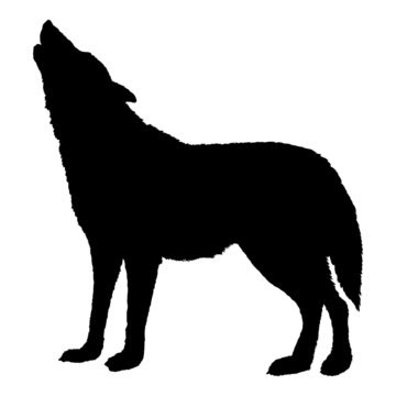 Wolf Howling Vector Black Silhouette Illustration