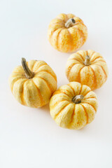 pumpkins on the white background