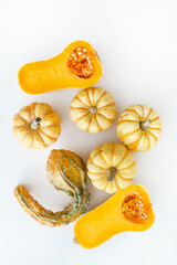 pumpkins on the white background