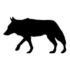 Wolf Walking Side View Vector Silhouette Illustration
