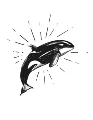 Hand drawn killer whale fish jump. Orca black and white illustration in sketch style. Fish jump out of the water. Tattoo silhouette  