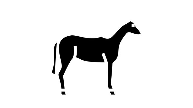 horse animal animated glyph icon. horse animal sign. isolated on white background