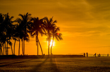 Silhouette Tropical Palm Trees At Sunset - Summer Vacation With Vintage Tone 
