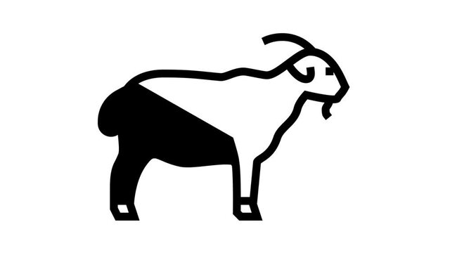 goat domestic animal animated line icon. goat domestic animal sign. isolated on white background