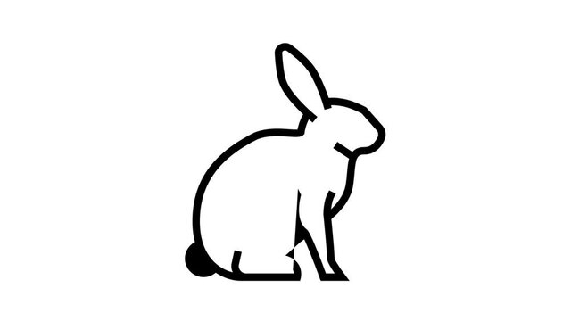 rabbit pet animated line icon. rabbit pet sign. isolated on white background