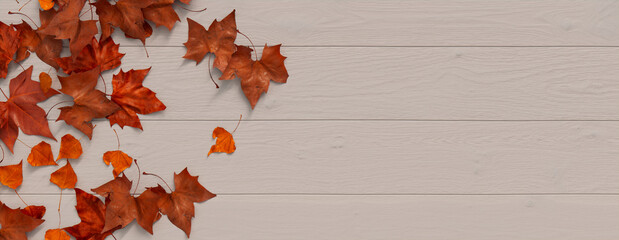Top down view of White wood Surface with leaves.