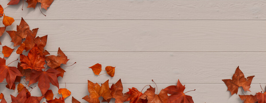 Fall flat lay with leaves. Thanksgiving concept with space for text. - Powered by Adobe