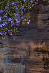autumn background, natural wood background, small blue flowers on the side, beautiful, place for text, agenda, card, celebration