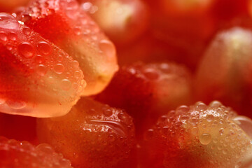 Fresh pomegranate fruit. It contain higher levels of antioxidants