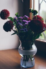 Autumn bouquet of round burgundy dahlias flowers in vase on window