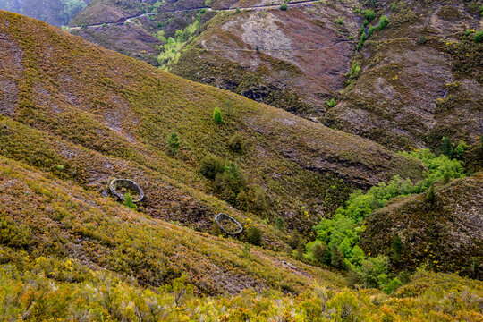 Albarizas or Albares to protect the honey from the bears in the valley of the Lor river in O Courel covered with a lush forest