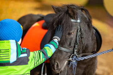 A little boy in a green striped jacket strokes a pony's mane. A brown pony is watching a child. The...
