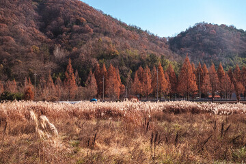 autumn in the mountains
