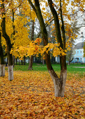 Fototapeta na wymiar Autumn scenery in Suzdal, Russia