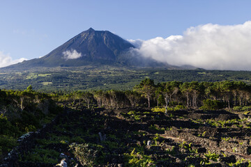 Typical landscape of the island of Pico with the mountain Pico in the background, Azores