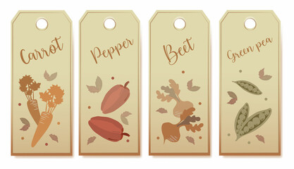 Vegetable seeds packets template. Vegetables tags design elements organic eco food vintage vegetable collection vector
