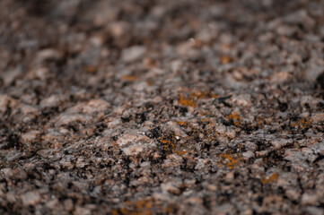 Mineral