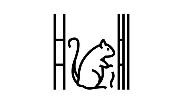 rat living in cotton wool in wall animated line icon. rat living in cotton wool in wall sign. isolated on white background
