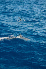 Pablo P&eacute;rez L&oacute;pez