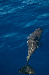 Pablo P&eacute;rez L&oacute;pez