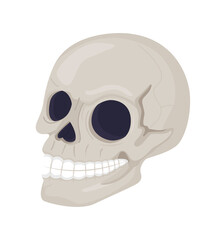 Skull semi flat color vector item. Dead human head. Skeleton face. Realistic object on white. Halloween decoration isolated modern cartoon style illustration for graphic design and animation