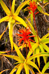 Pablo P&eacute;rez L&oacute;pez