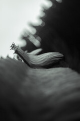 Pablo P&eacute;rez L&oacute;pez