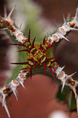 Pablo P&eacute;rez L&oacute;pez