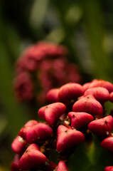 Pablo P&eacute;rez L&oacute;pez