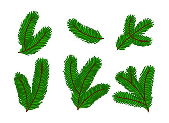 Set of fluffy spruce branches, collection of Christmas tree branches. Cartoon New Year illustration isolated on white background. Vector