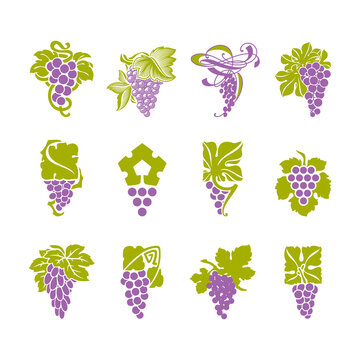 Red grape with green leaf. Vector logo mark templates set. Elements for design or icons