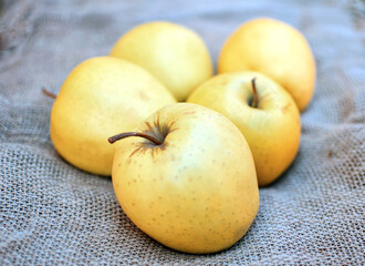 Fresh apples on burlap background. Apples in close up