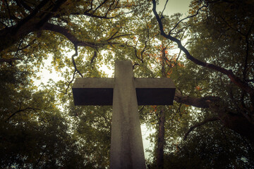 Krzyż na tle drzew i nieba jesienią © fotograbska