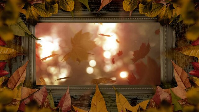 Animation of spots of light and falling leaves in leaf frame