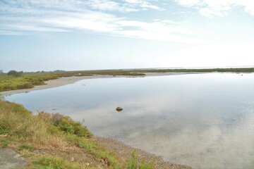 paysage camarguais