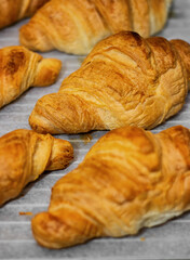 Homemade freshly baked delicious croissants lie on a baking sheet