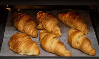 Homemade freshly baked delicious croissants lie on a baking sheet