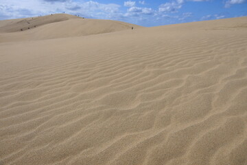 鳥取砂丘。鳥取、日本。10月中旬。