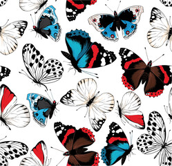 Vector pattern of beautiful butterflies