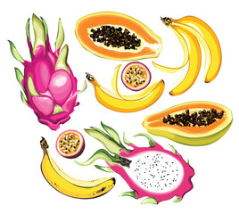 A set of tropical fruits. Each fruit separately