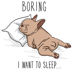 Vector drawing. A funny French bulldog sleeping on a pillow