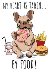 Vector drawing. Funny French bulldog glutton