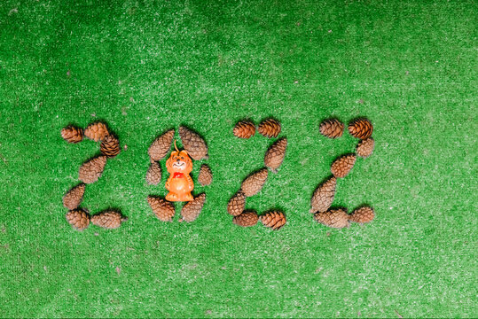 
the numbers 2022 of cones on a green background with a tiger cub in the number 0